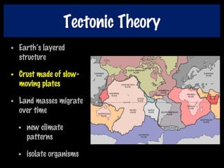 Tectonic Theory
• Earth’s layered
structure
• Crust made of slow-
moving plates
• Land masses migrate
over time
• new climate
patterns
• isolate organisms
 