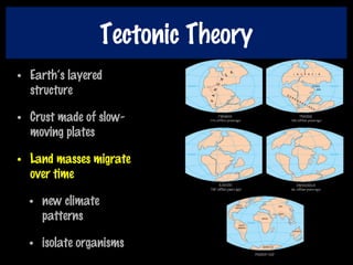 Tectonic Theory
• Earth’s layered
structure
• Crust made of slow-
moving plates
• Land masses migrate
over time
• new climate
patterns
• isolate organisms
 