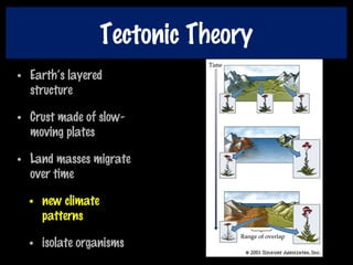 Tectonic Theory
• Earth’s layered
structure
• Crust made of slow-
moving plates
• Land masses migrate
over time
• new climate
patterns
• isolate organisms
 