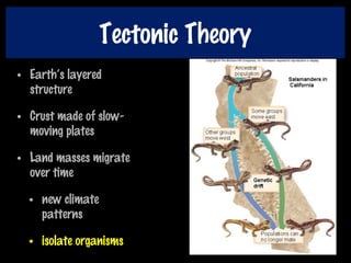 Tectonic Theory
• Earth’s layered
structure
• Crust made of slow-
moving plates
• Land masses migrate
over time
• new climate
patterns
• isolate organisms
 