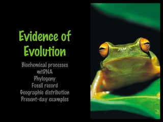 Evidence of
Evolution
Biochemical processes
mtDNA
Phylogeny
Fossil record
Geographic distribution
Present-day examples
 