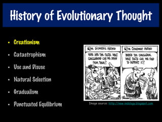 History of Evolutionary Thought
• Creationism
• Catastrophism
• Use and Disuse
• Natural Selection
• Gradualism
• Punctuated Equilibrium Image source: http://new-indology.blogspot.com
 