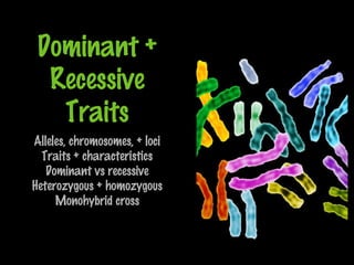 Dominant +
Recessive
Traits
Alleles, chromosomes, + loci
Traits + characteristics
Dominant vs recessive
Heterozygous + homozygous
Monohybrid cross
 