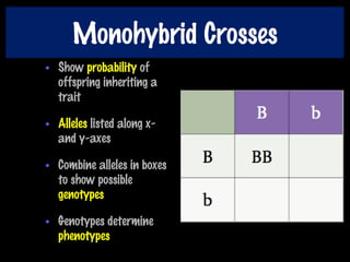 Monohybrid Crosses
• Show probability of
offspring inheriting a
trait
• Alleles listed along x-
and y-axes
• Combine alleles in boxes
to show possible
genotypes
• Genotypes determine
phenotypes
 