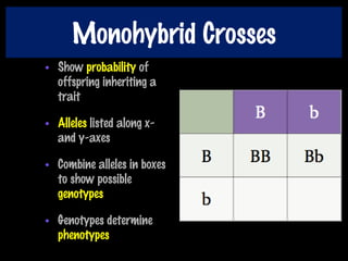 Monohybrid Crosses
• Show probability of
offspring inheriting a
trait
• Alleles listed along x-
and y-axes
• Combine alleles in boxes
to show possible
genotypes
• Genotypes determine
phenotypes
 