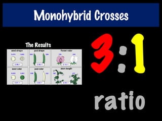 3:1
ratio
Monohybrid Crosses
 