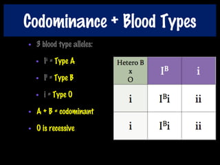Codominance + Blood Types
• 3 blood type alleles:
• IA
= Type A
• IB
= Type B
• i = Type O
• A + B = codominant
• O is recessive
 
