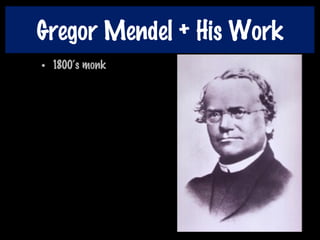 Gregor Mendel + His Work
• 1800‘s monk
 