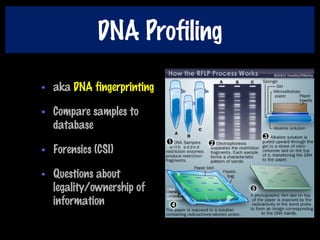 DNA Profiling
• aka DNA fingerprinting
• Compare samples to
database
• Forensics (CSI)
• Questions about
legality/ownership of
information
 
