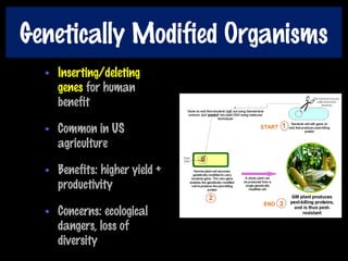 Genetically Modified Organisms
• Inserting/deleting
genes for human
benefit
• Common in US
agriculture
• Benefits: higher yield +
productivity
• Concerns: ecological
dangers, loss of
diversity
 