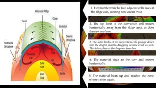 1. Hot mantle from the two adjacent cells rises at
the ridge axis, creating new ocean crust.
2. The top limb of the convection cell moves
horizontally away from the ridge crest, as does
the new seafloor.
4. The material sinks to the core and moves
horizontally.
3. The outer limbs of the convection cells plunge down
into the deeper mantle, dragging oceanic crust as well.
This takes place at the deep-sea trenches.
5. The material heats up and reaches the zone
where it rises again.
 
