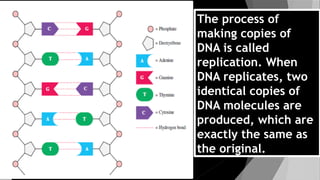 How Dna Copy G10 Science Q3- Week 4-How Protein is Made-Using-DNA-Information.pptx