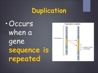 G10 Science Q3- Week 4- Mutation (1).ppt