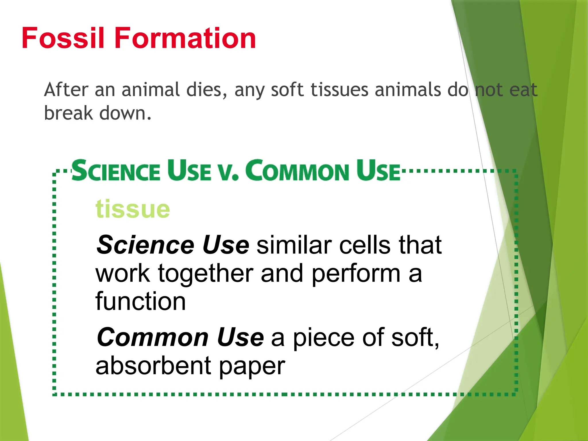 After an animal dies, any soft tissues animals do not eat
break down.
Fossil Formation
tissue
Science Use similar cells that
work together and perform a
function
Common Use a piece of soft,
absorbent paper
 