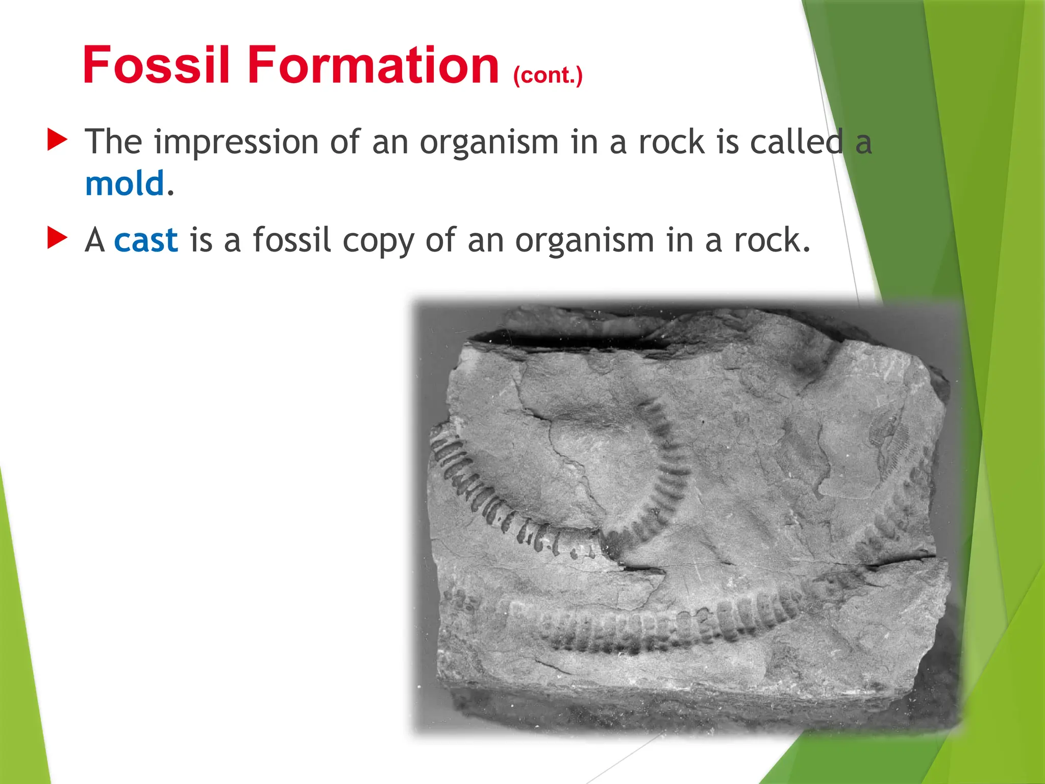  The impression of an organism in a rock is called a
mold.
 A cast is a fossil copy of an organism in a rock.
Fossil Formation (cont.)
 