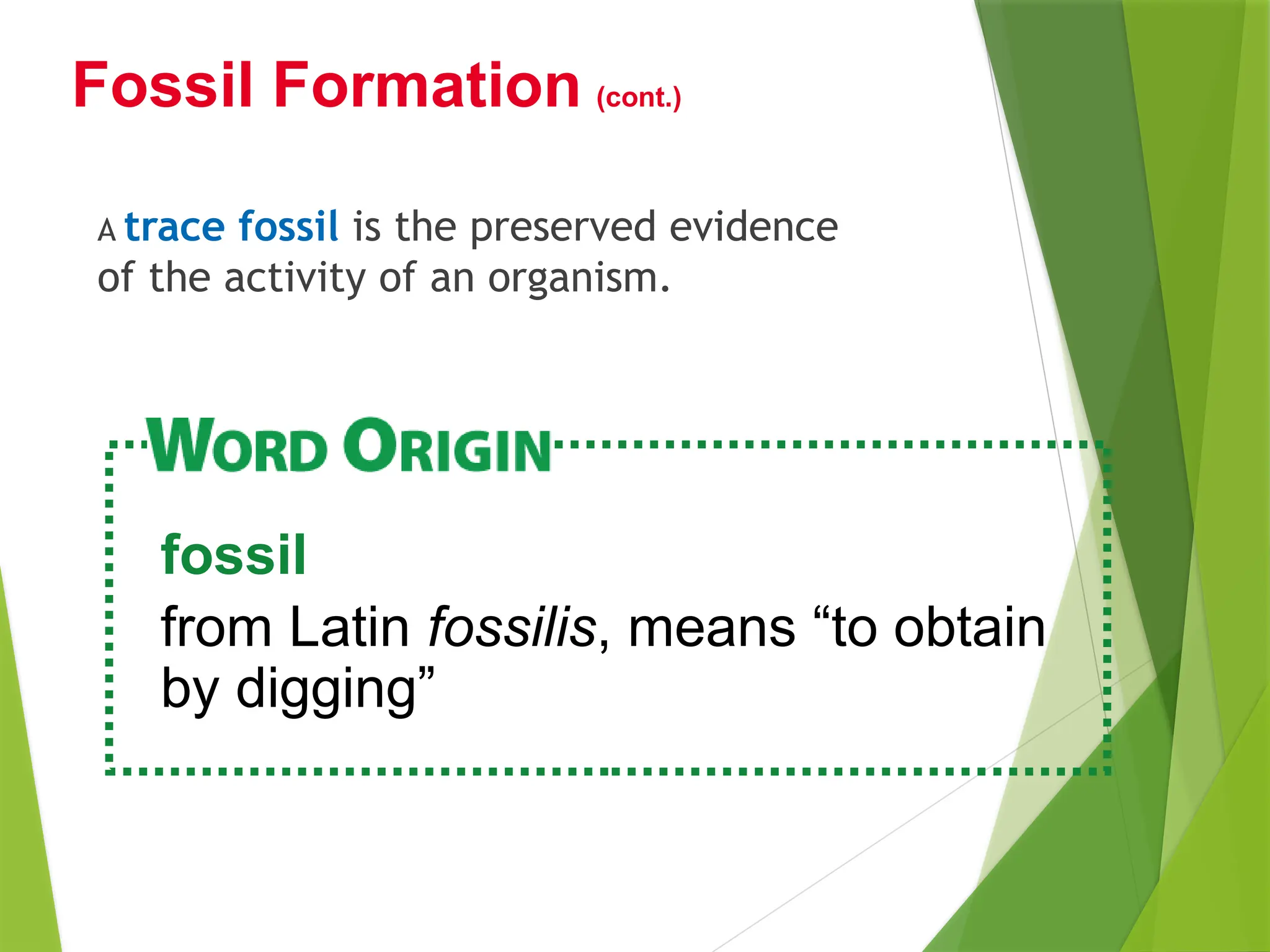A trace fossil is the preserved evidence
of the activity of an organism.
Fossil Formation (cont.)
fossil
from Latin fossilis, means “to obtain
by digging”
 