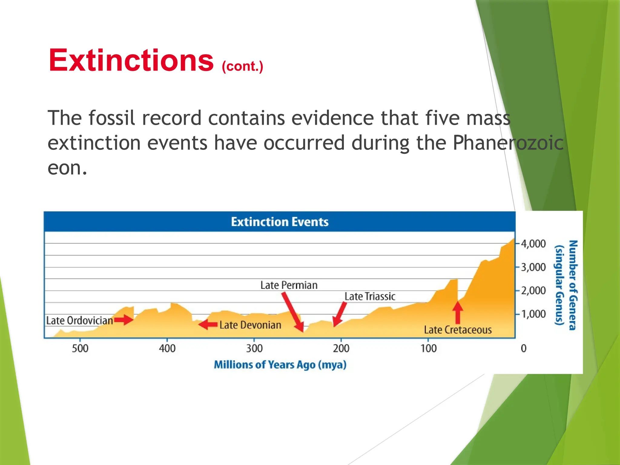 The fossil record contains evidence that five mass
extinction events have occurred during the Phanerozoic
eon.
Extinctions (cont.)
 