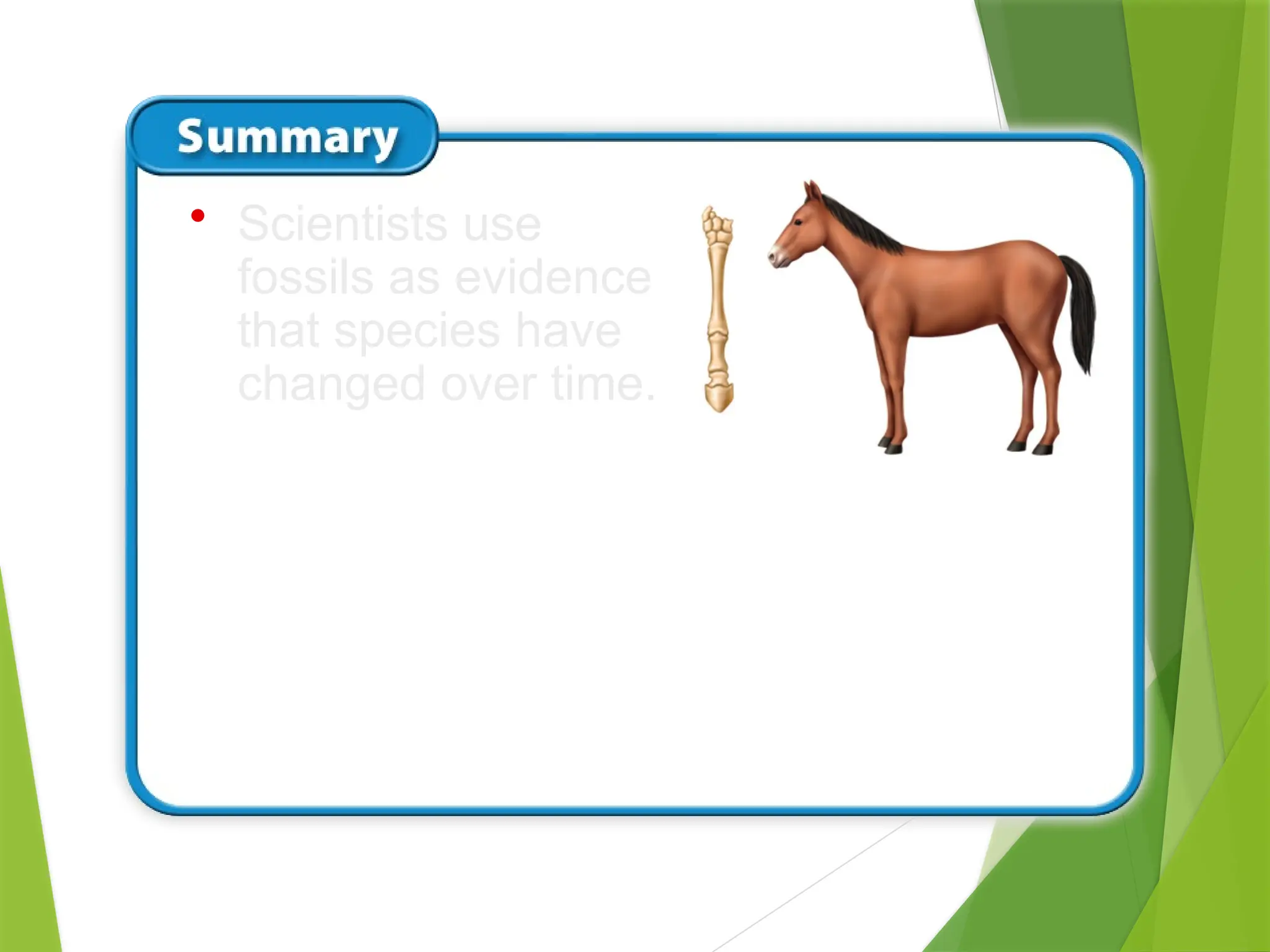 • Scientists use
fossils as evidence
that species have
changed over time.
 