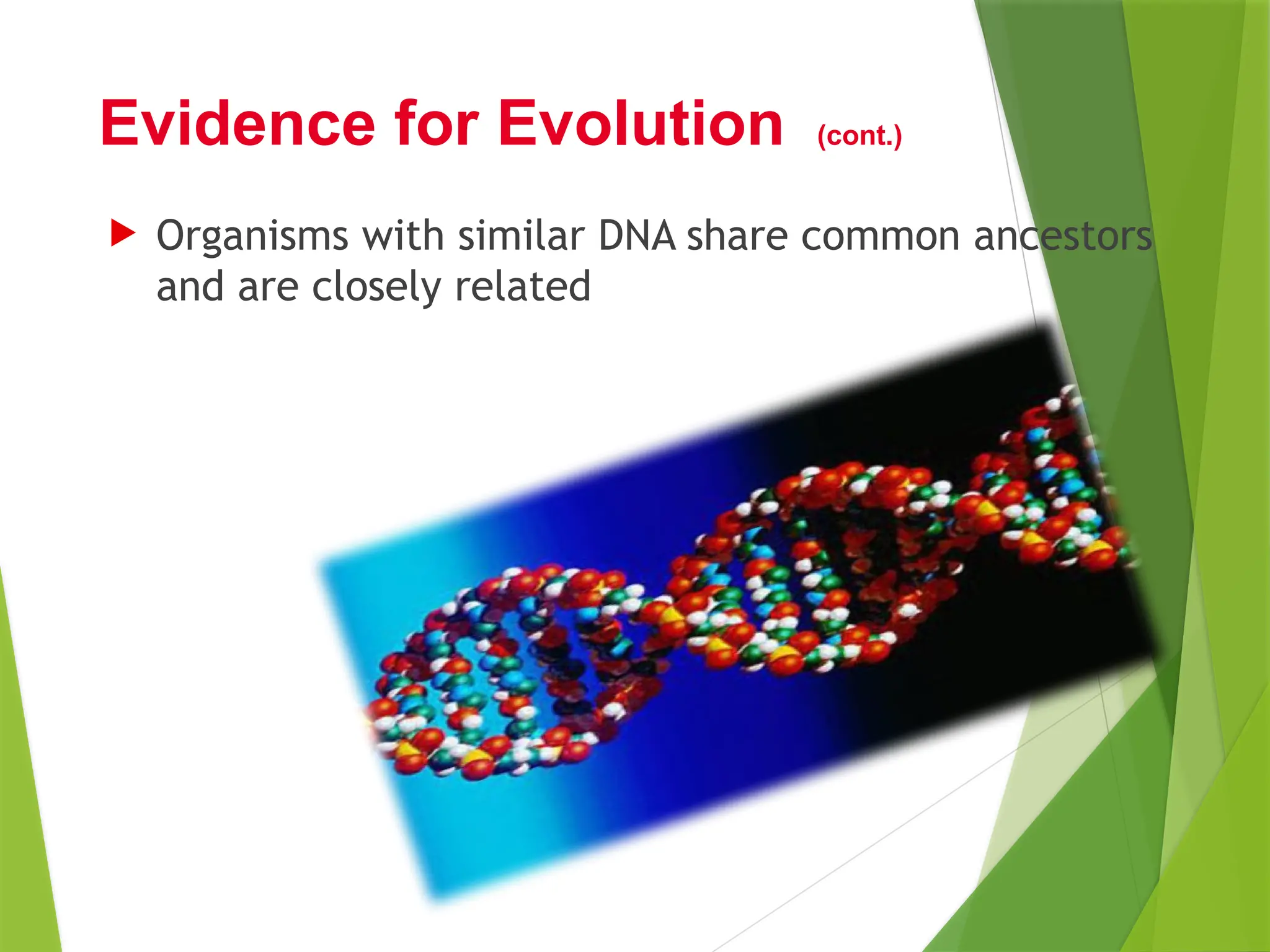  Organisms with similar DNA share common ancestors
and are closely related
Evidence for Evolution (cont.)
 