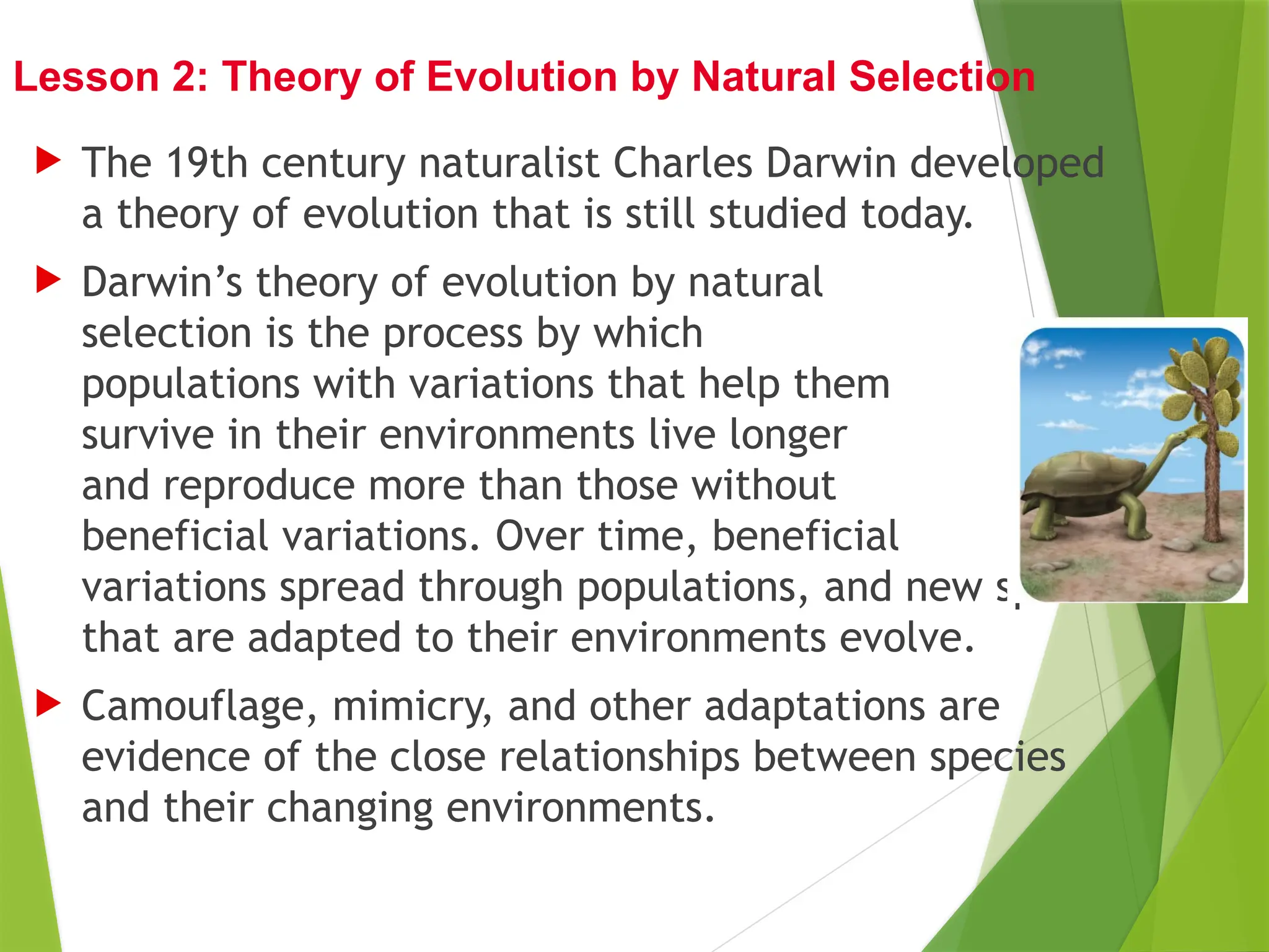  The 19th century naturalist Charles Darwin developed
a theory of evolution that is still studied today.
 Darwin’s theory of evolution by natural
selection is the process by which
populations with variations that help them
survive in their environments live longer
and reproduce more than those without
beneficial variations. Over time, beneficial
variations spread through populations, and new species
that are adapted to their environments evolve.
 Camouflage, mimicry, and other adaptations are
evidence of the close relationships between species
and their changing environments.
Lesson 2: Theory of Evolution by Natural Selection
 