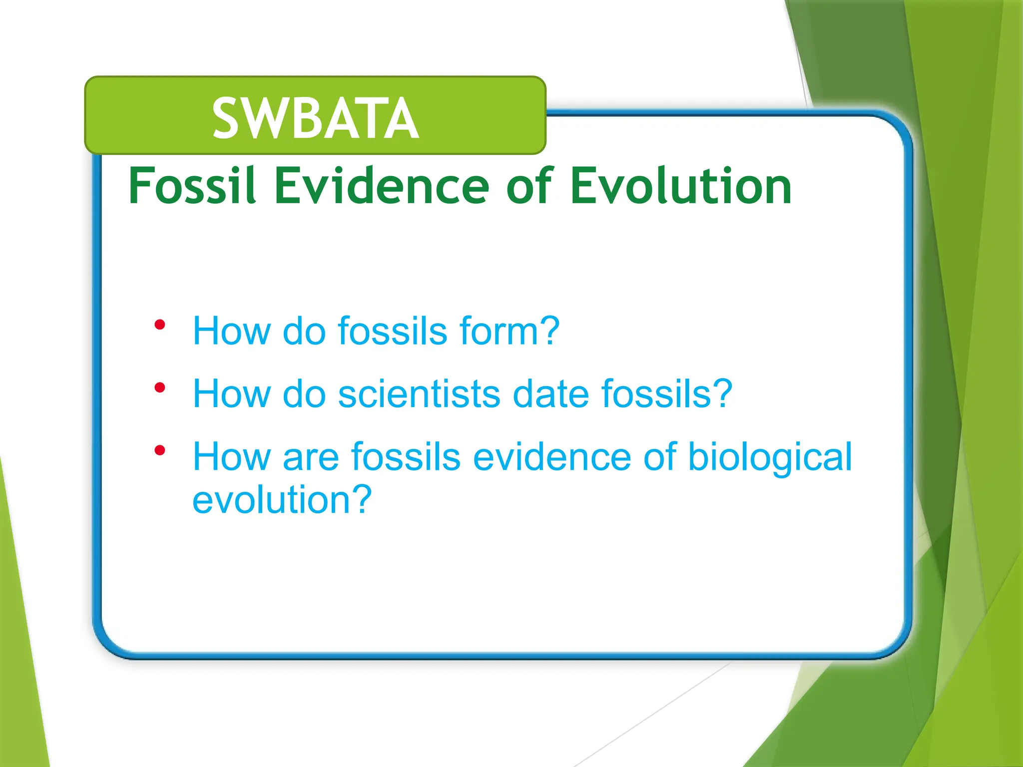 • How do fossils form?
• How do scientists date fossils?
• How are fossils evidence of biological
evolution?
Fossil Evidence of Evolution
SWBATA
 
