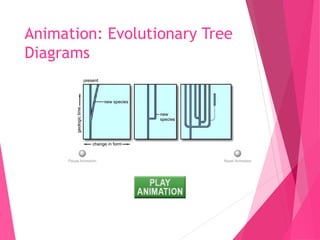 G10 Science Q3- Week 6- Occurence of Evolution.ppt