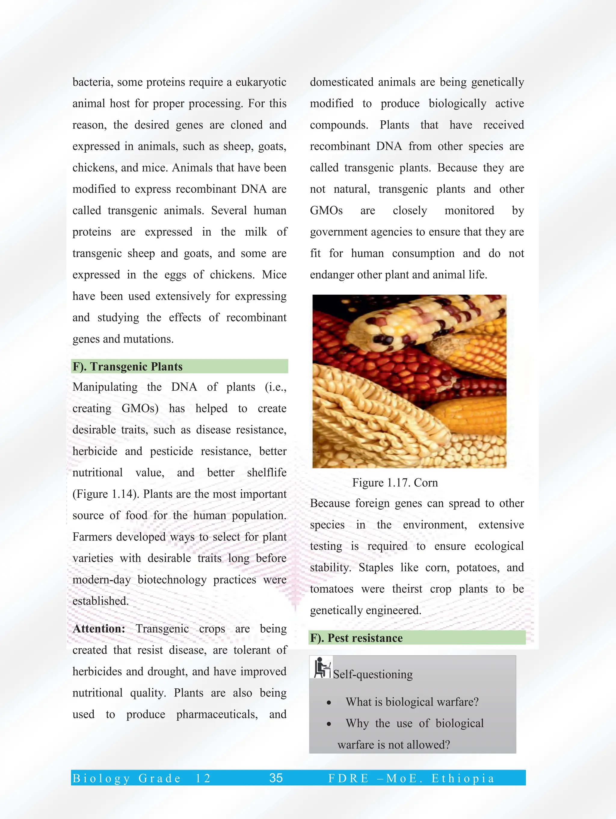 G12-Biology-STB-2023-web text for students | PDF | Brain and Nervous ...