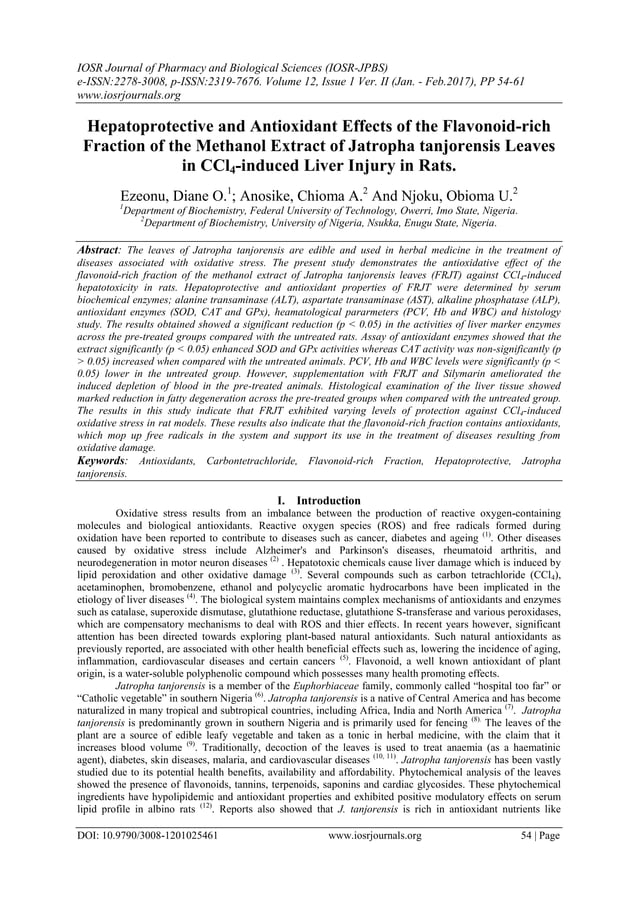 Hepatoprotective and Antioxidant Effects of the Flavonoidrich Fraction
