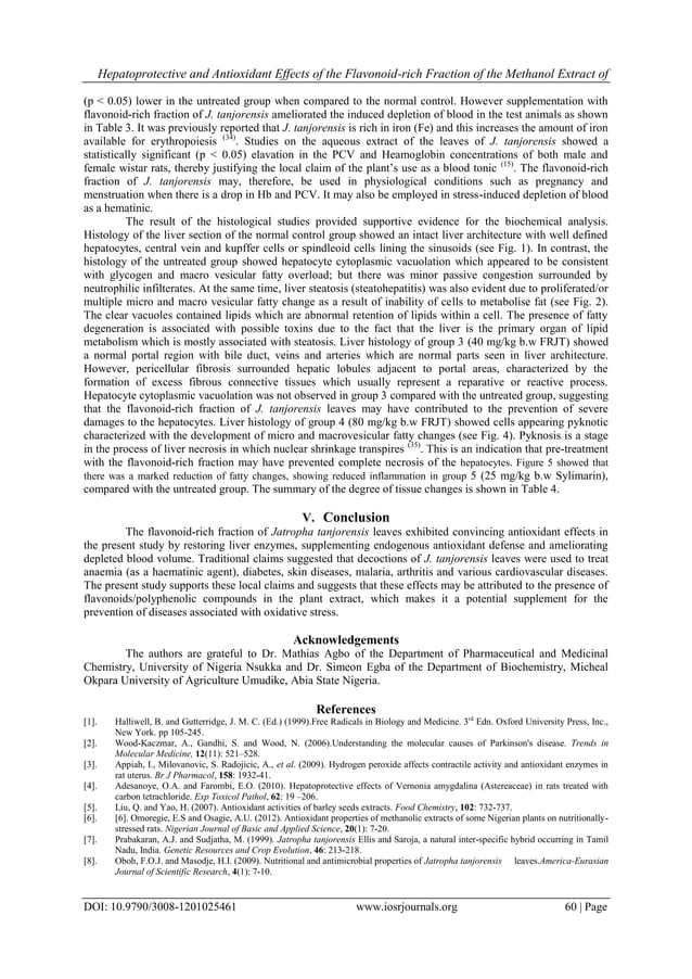 Hepatoprotective and Antioxidant Effects of the Flavonoidrich Fraction