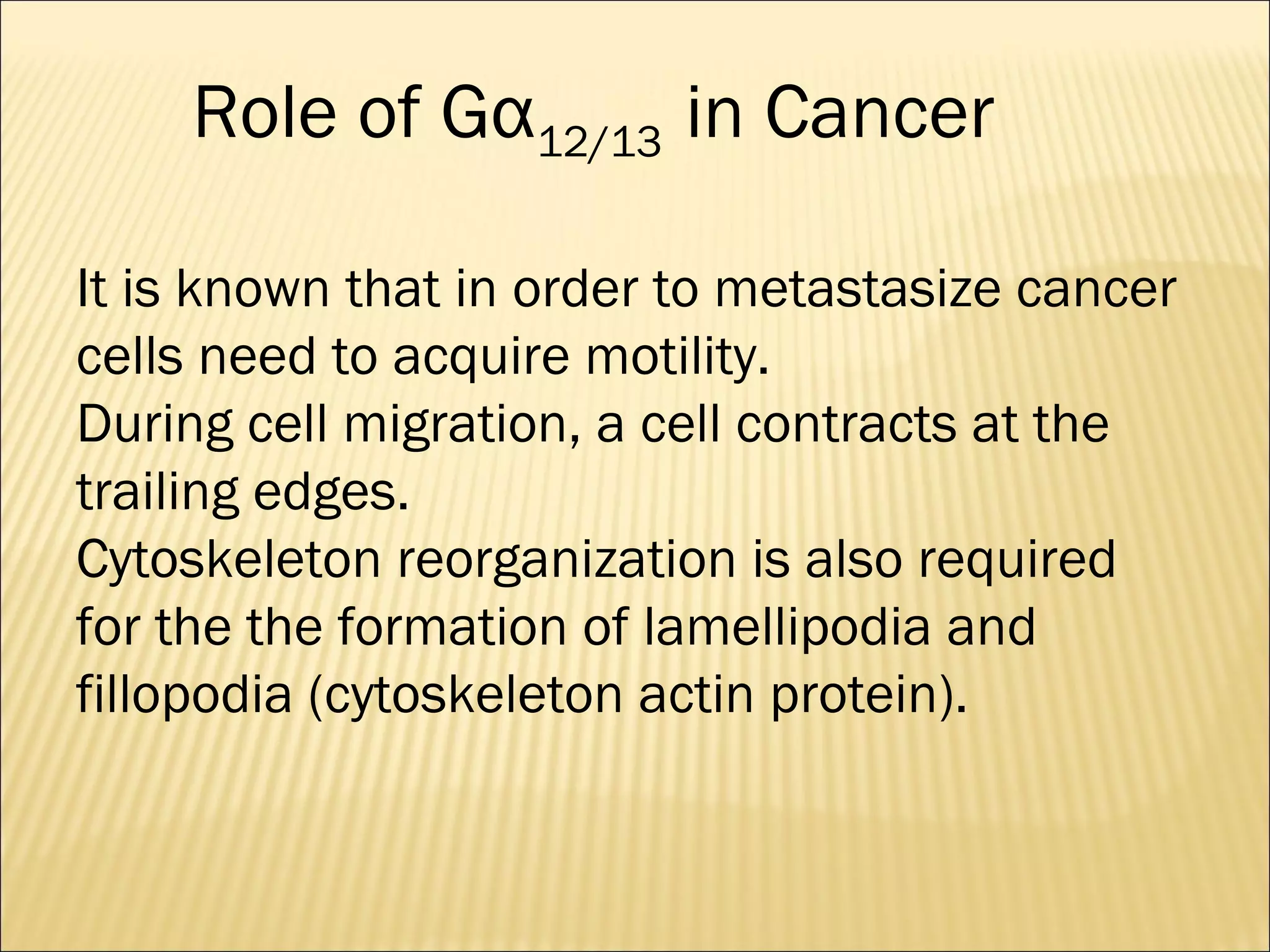 Role of Gα12/13 in Cancer
It is known that in order to metastasize cancer
cells need to acquire motility.
During cell migration, a cell contracts at the
trailing edges.
Cytoskeleton reorganization is also required
for the the formation of lamellipodia and
fillopodia (cytoskeleton actin protein).
 
