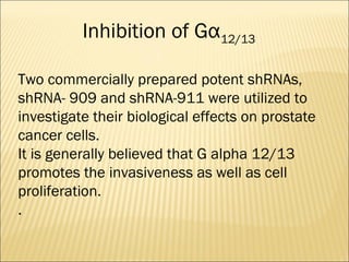 Two commercially prepared potent shRNAs,
shRNA- 909 and shRNA-911 were utilized to
investigate their biological effects on prostate
cancer cells.
It is generally believed that G alpha 12/13
promotes the invasiveness as well as cell
proliferation.
.
Inhibition of Gα12/13
 