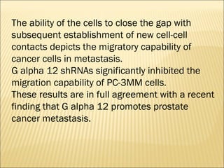 The ability of the cells to close the gap with
subsequent establishment of new cell-cell
contacts depicts the migratory capability of
cancer cells in metastasis.
G alpha 12 shRNAs significantly inhibited the
migration capability of PC-3MM cells.
These results are in full agreement with a recent
finding that G alpha 12 promotes prostate
cancer metastasis.
 