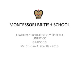 MONTESSORI BRITISH SCHOOL
APARATO CIRCULATORIO Y SISTEMA
LINFATICO
GRADO 10
Mr. Cristian A. Zorrilla - 2013
 