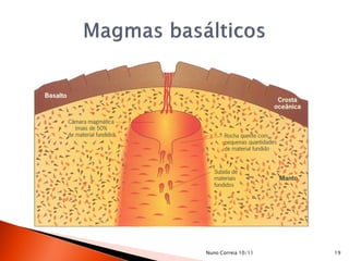 Nuno Correia 10/11   19
 