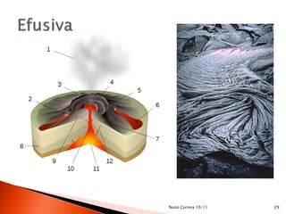 Nuno Correia 10/11   29
 