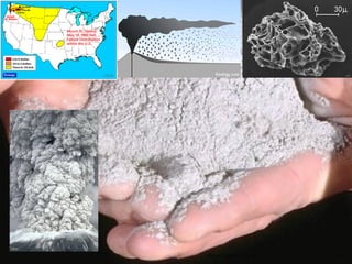 Nuno Correia 10/11   41
 