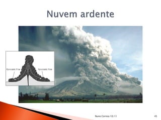 Nuno Correia 10/11   45
 