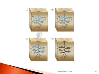Nuno Correia 10/11   11
 