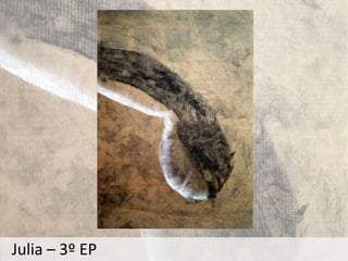 Julia – 3º EP