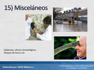 Elaborado por: QHSE México s.c
ACTOS INSEGUROS, CONDICIONES INSEGURAS
Y ACCIDENTE E INCIDENTES
Epidemias, efectos climatológicos,
Ataques de fauna, etc.
 