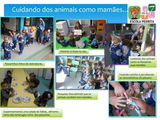 Cuidando dos animais como mamães...
Passarinhos feitos de dobraduras.
Experimentamos uma salada de folhas, alimento
tanto das tartarugas como dos pássarios.
História: A festa no céu.
Pesquisa: Descobrindo que os
animais também tem mamães.
Cuidando dos animais
como se fossemos
suas mamães.
Fazendo carinho e percebendo
as características do pássaro.
 