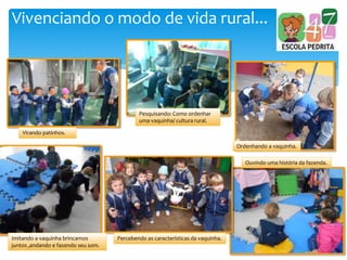 Vivenciando o modo de vida rural...
Virando patinhos.
Pesquisando: Como ordenhar
uma vaquinha/ cultura rural.
Ordenhando a vaquinha.
Ouvindo uma história da fazenda.
Percebendo as características da vaquinha.Imitando a vaquinha brincamos
juntos ,andando e fazendo seu som.
 