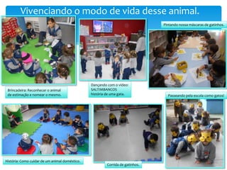 Vivenciando o modo de vida desse animal.
Brincadeira: Reconhecer o animal
de estimação e nomear o mesmo.
Dançando com o vídeo:
SALTIMBANCOS
história de uma gata.
Pintando nossa máscaras de gatinhos.
História: Como cuidar de um animal doméstico.
Corrida de gatinhos.
Passeando pela escola como gatos!
 