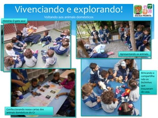 Vivenciando e explorando!
Voltando aos animais domésticos
História: O gato azul
Apresentando os animais.
Confeccionando nosso cartaz dos
animais domésticos do G1
Brincando e
compartilha
ndo os
bichinhos
que
trouxeram
de casa.
 