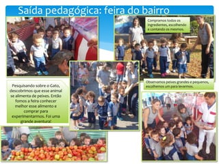 Saída pedagógica: feira do bairro
Observamos peixes grandes e pequenos,
escolhemos um para levarmos.
Compramos todos os
ingredientes, escolhendo
e contando os mesmos.
Pesquisando sobre o Gato,
descobrimos que esse animal
se alimenta de peixes. Então
fomos a feira conhecer
melhor esse alimento e
comprar para
experimentarmos. Foi uma
grande aventura!
 