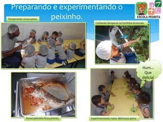 Preparando e experimentando o
peixinho.Temperando nosso peixe.
Colhendo temperos na hortinha da escola.
Nosso peixinho ficou pronto. Experimentando nosso deliciosos peixe.
Hum...
Que
delicia!
 