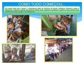 COMO TUDO COMEÇOU...
Em nossa rotina com o grupo 1, costumamos visitar os bichinhos da escola. Cantamos, trocamos a água e
oferecemos o alimento, sempre que podemos. Nessa rotina, acabamos escolhendo a galinha e seus pintinhos para
iniciarmos com eles o projeto “Os animais e eu” .
 