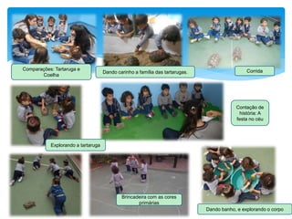Comparações: Tartaruga e
Coelha
Explorando a tartaruga
Contação de
história: A
festa no céu
Brincadeira com as cores
primárias
Dando carinho a família das tartarugas. Corrida
Dando banho, e explorando o corpo
 
