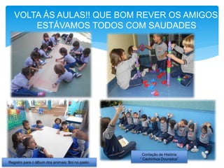 VOLTA ÁS AULAS!! QUE BOM REVER OS AMIGOS,
ESTÁVAMOS TODOS COM SAUDADES.
Contação de História
“ Cachinhos Dourados”
Registro para o álbum dos animais: Boi no pasto.
 