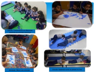 Estudo: Conhecemos as diferentes
espécies de animais marinhos
Circuito: Nadando como os peixes no marAtividade: Álbum dos animais
 